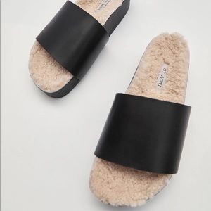 St Agni Sherpa Slides